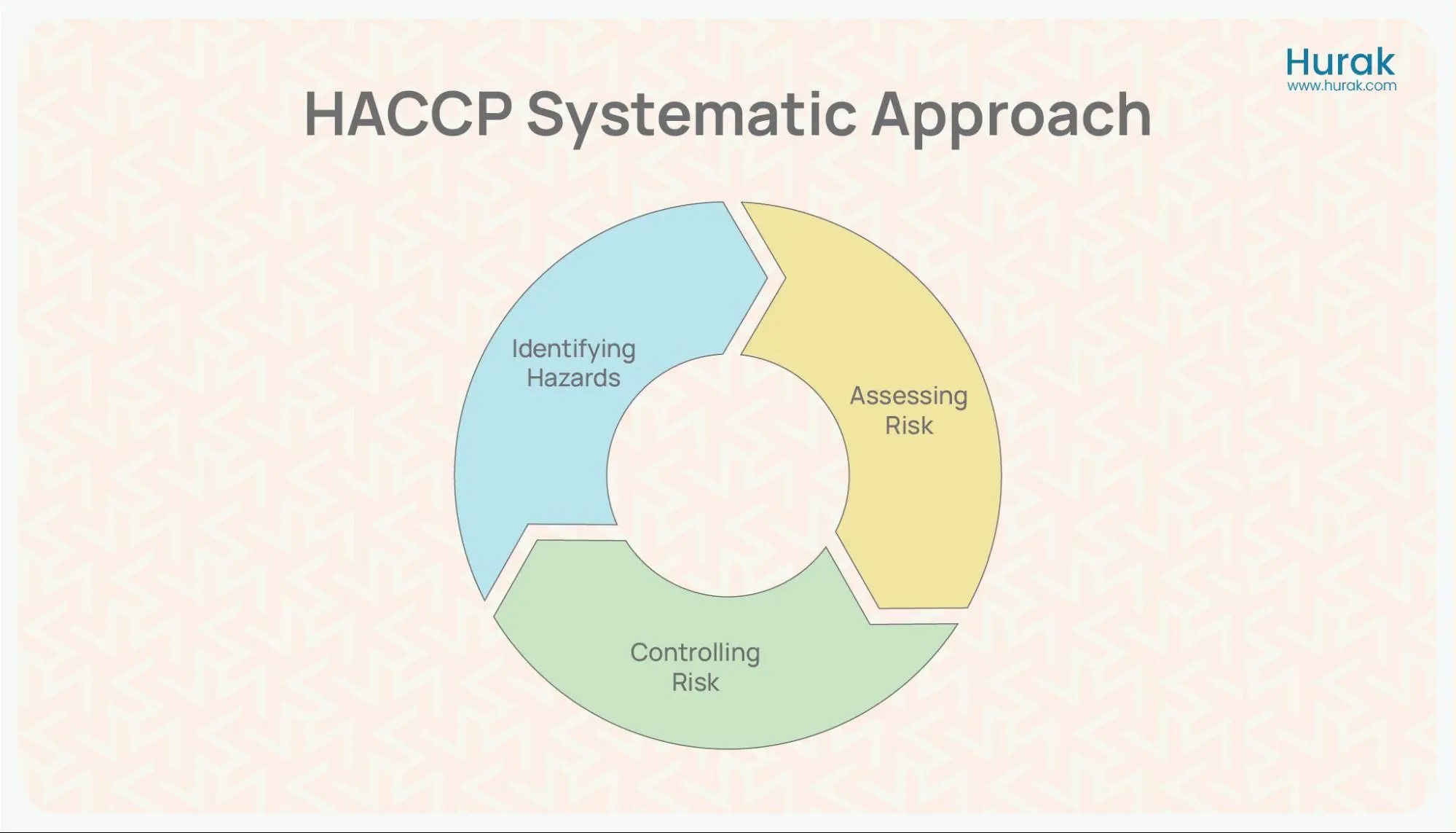 The HACCP System: Process and Principles - Hurak